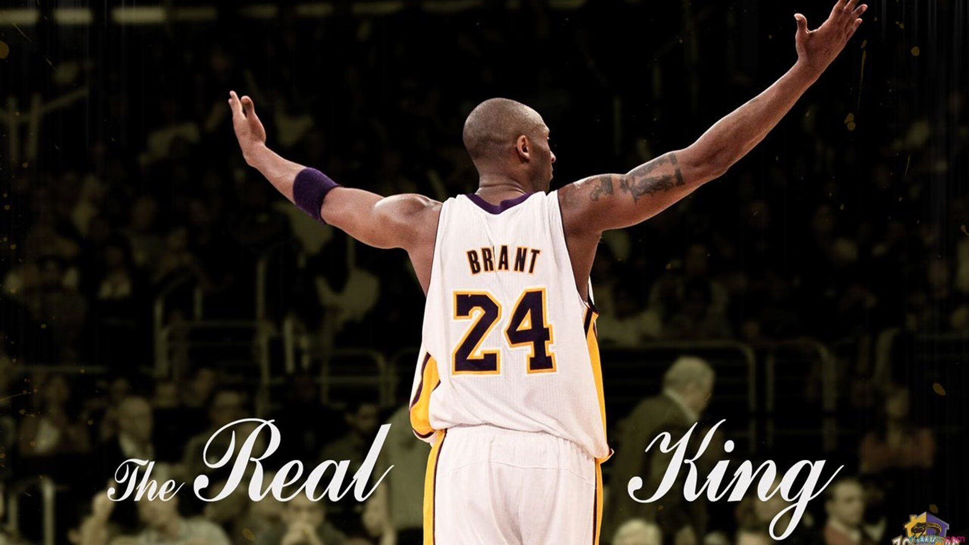 开云-死神中距离吟唱逆战悲歌！布克持续杀伤诠释何为硬解之魂